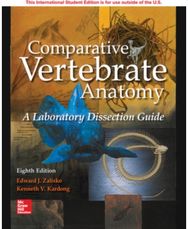 ISE Comparative Vertebrate Anatomy: A Laboratory Dissection Guide