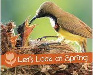 Lets Look at Spring