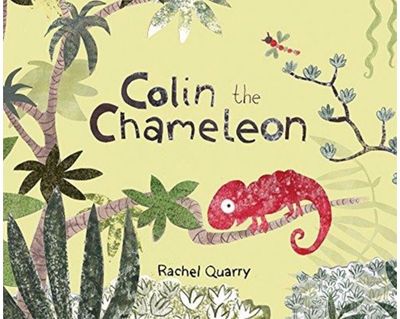 Colin the Chameleon