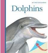 Dolphins