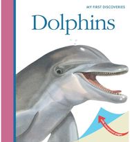 Dolphins