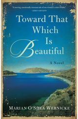 Toward That Which is Beautiful: A Novel