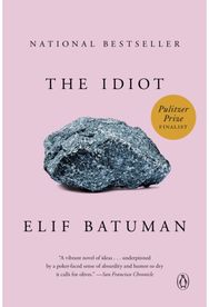 Idiot: A Novel