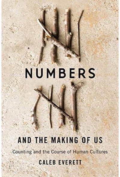 Numbers and the Counting and the