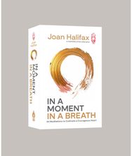 In a Moment, in a Breath: 55 Meditations to Cultivate a Courageous Heart 55 Meditations to Cultivate a Courageous Heart
