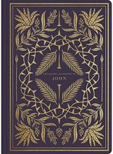 ESV Illuminated John (Paperback)