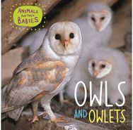Animals and their Babies: Owls & Owlets