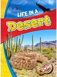 Life in a Desert