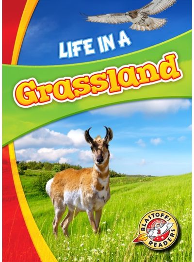Life in a Grassland