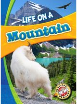 Life in a Mountain