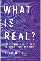 What is Real? The Unfinished Quest
