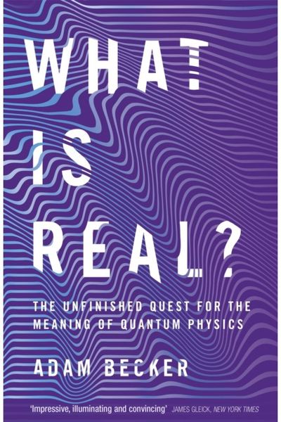 What is Real? The Unfinished Quest