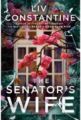 Senators Wife A Novel