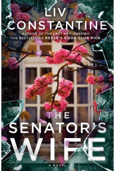 Senators Wife A Novel