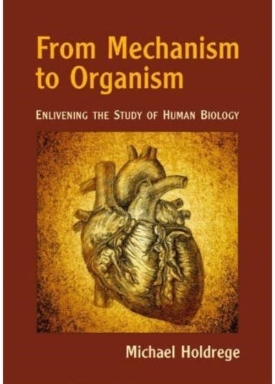 From Mechanism to Enlivening the Study