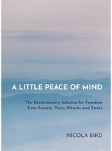 Little Peace of Mind The Revolutionary