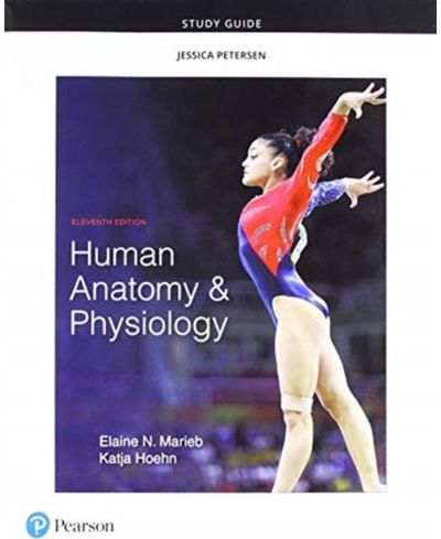 Study Guide for