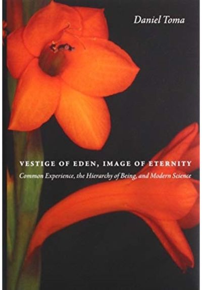 Vestige of Eden, Common Experience,