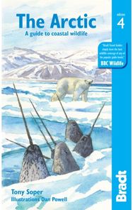 Arctic A guide to coastal wildlife