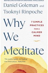 Why We Meditate 7 Simple Practices