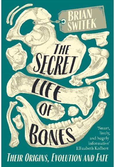 Secret Life of Bones Their Origins,