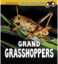 Grand Grasshoppers