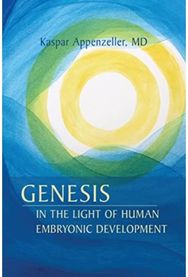Genesis in the Light of Human Embryonic Development