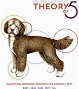 Theory Of 5