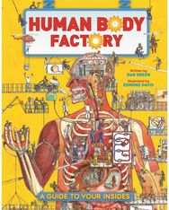 Human Body Factory: A Guide To Your Insides A Guide To Your Insides