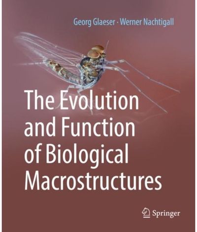 Evolution and