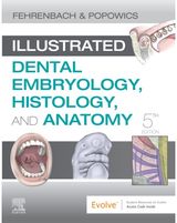 Illustrated Dental