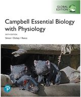 Campbell Essential