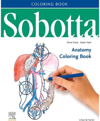 Sobotta Anatomy