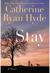 Stay