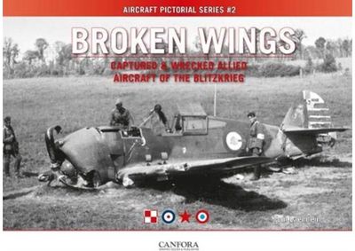 Broken Wings: