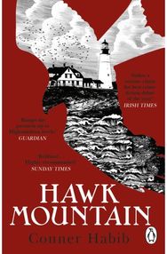 Hawk Mountain A highly suspenseful and unsettling literary thriller