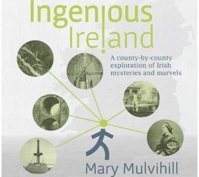 Ingenious Ireland A county by county