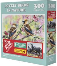 Doing Things Birds Prank Puzzle 300pcs