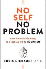 No Self, No Problem How Neuropsychology