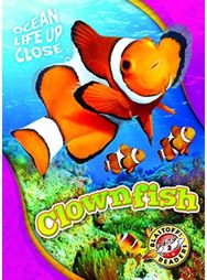 Clownfish