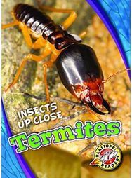 Termites