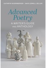 Advanced Poetry A Writer's Guide and