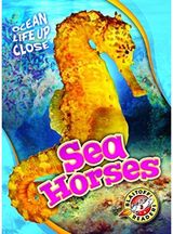 Sea Horses