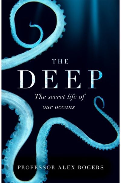 Deep The Hidden Wonders