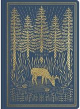 ESV Illuminated Psalms (Paperback)