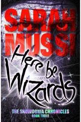 Here be Wizards The Snowdonia