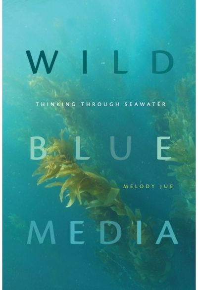 Wild Blue Media Thinking through