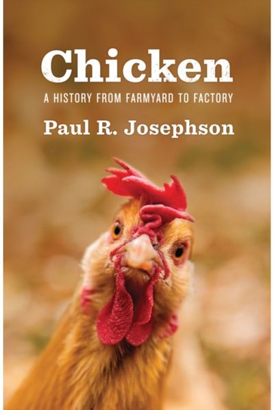 Chicken A History from