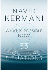 What is Possible Now: 33 Political Situations 33 Political Situations