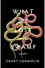 What We Lost in the Poems